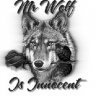 Mr_Wolf_Is_Innocent